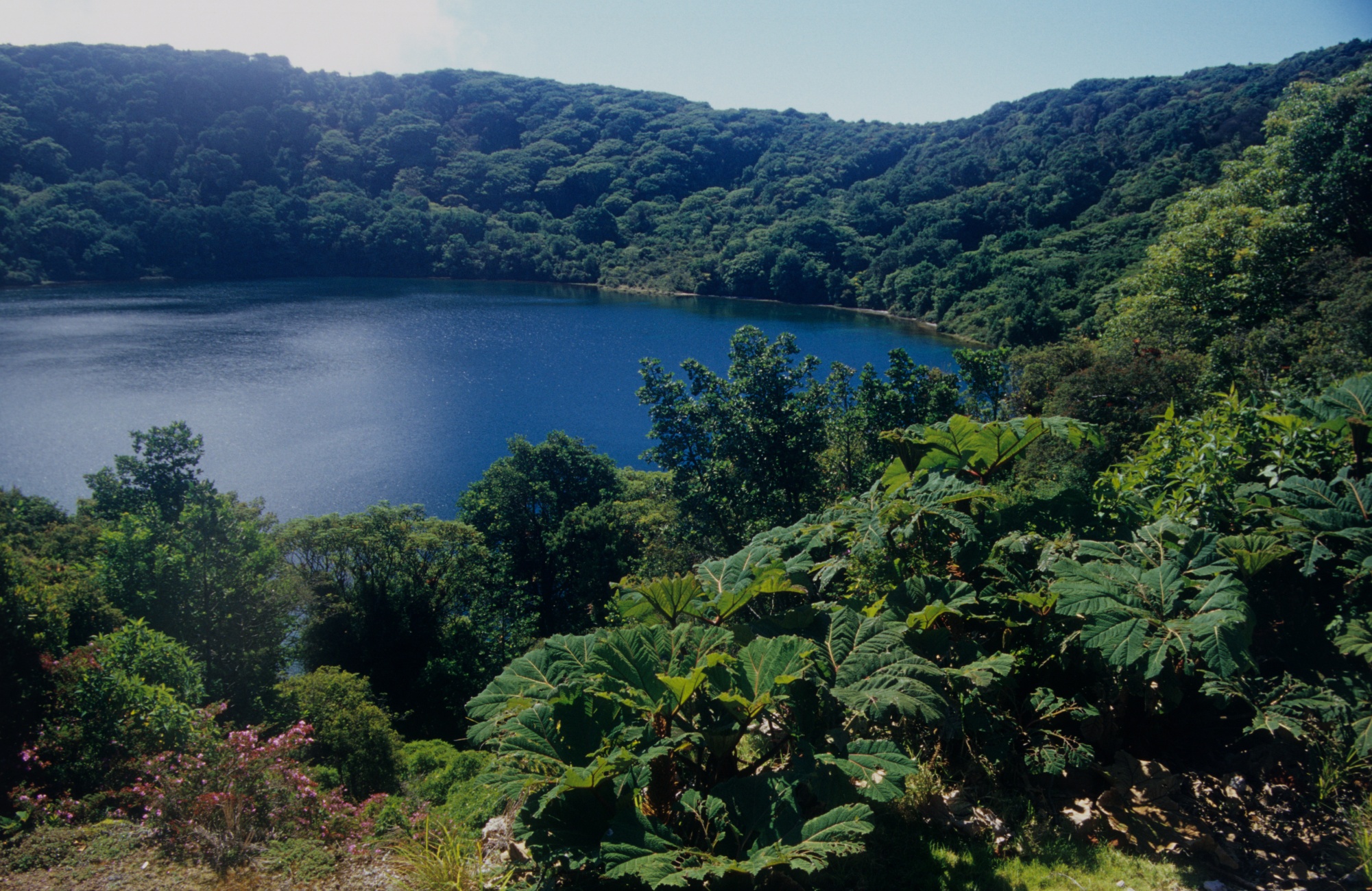 3D – COSTA RICA mit Stephan Schulz